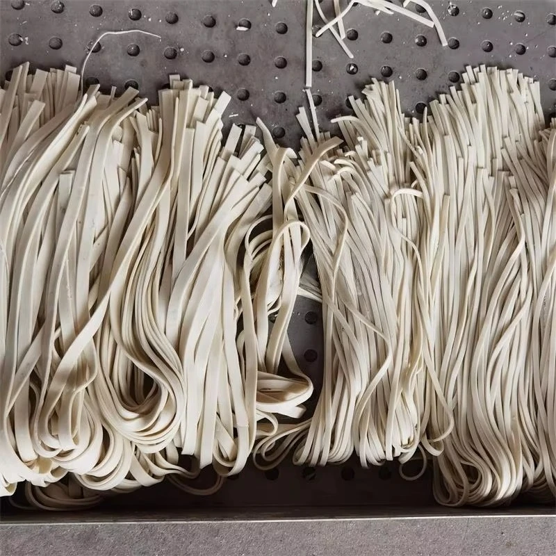 インテリジェント製麺機 パスタヌードルメーカー 自動電動生米 - Pasta Machine Electric のレビューと価格
